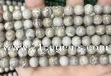 CFC330 15.5 inches 8mm round fossil coral beads wholesale