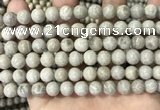 CFC331 15.5 inches 8mm round fossil coral beads wholesale