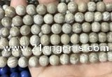 CFC332 15.5 inches 8mm round fossil coral beads wholesale