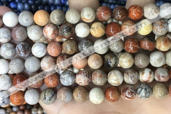 CFC342 15.5 inches 8mm round red fossil coral beads wholesale