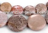 CFC53 15.5 inches flat round coral fossil jasper beads wholesale