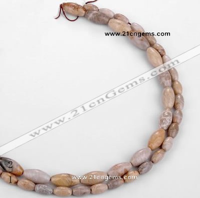 CFC54 15.5 inches rice shape coral fossil jasper beads wholesale