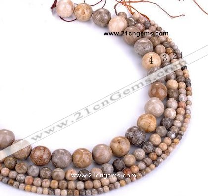 CFC55 15.5 inches round coral fossil jasper beads wholesale