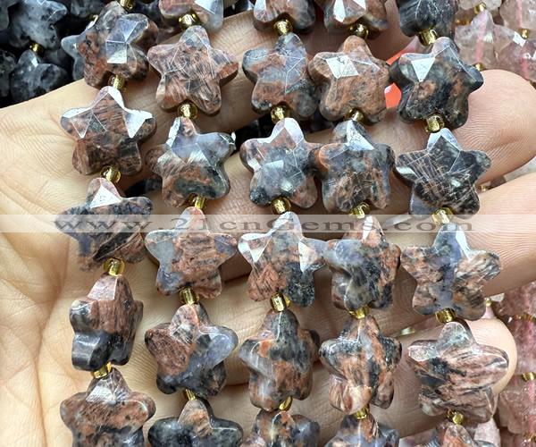 CFG1666 15 inches 14mm carved star flame jasper beads