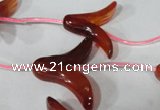 CFG504 15.5 inches 20*26mm carved flower red agate beads