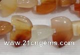 CFG790 12.5 inches 14*18mm carved animal red agate gemstone beads