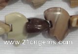 CFG796 12.5 inches 14*18mm carved animal jasper beads