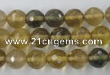 CFL454 15.5 inches 10mm faceted round rainbow fluorite beads