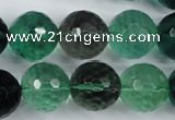 CFL66 15.5 inches 16mm faceted round A grade natural fluorite beads