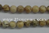 CFS02 15.5 inches 10mm round natural feldspar gemstone beads