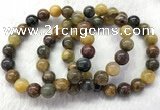 CGB2601 7.5 inches 10mm round natural pietersit beaded bracelets