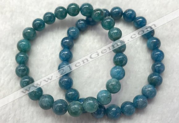 CGB2621 7.5 inches 8mm round natural apatite beaded bracelets