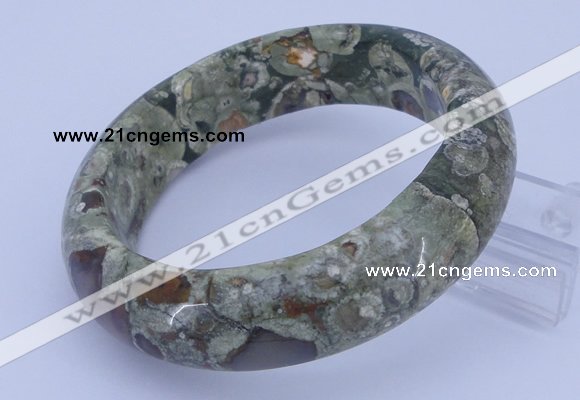 CGB476 Inner diameter 58mm fashion rhyolite gemstone bangle