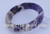 CGB479 Inner diameter 60mm fashion dogtooth amethyst bangle