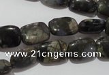 CGE158 15.5 inches 10*14mm rectangle glaucophane gemstone beads