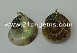 CGP271 25*30mm - 30*35mm ammonite pendants wholesale