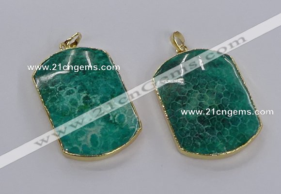 CGP3338 35*45mm - 35*50mm fossil coral pendants wholesale