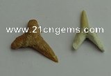 CGP541 15*25mm - 22*30mm shark teeth pendants wholesale