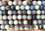 CHB03 15 inches 10mm round hauynite gemstone beads wholesale