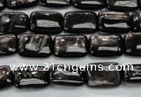 CHS89 15.5 inches 10*14mm rectangle natural hypersthene beads