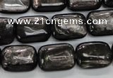 CHS91 15.5 inches 13*18mm rectangle natural hypersthene beads