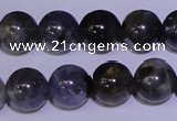 CIL03 15.5 inches 8mm round natural iolite gemstone beads