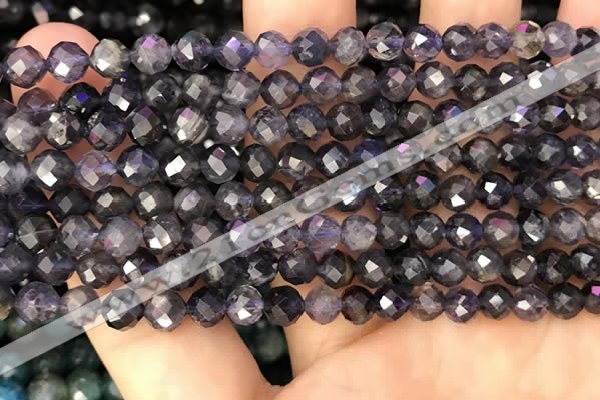 CIL121 15.5 inches 5mm faceted round iolite beads wholesale