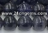 CIL128 15.5 inches 10mm round natural iolite beads wholesale