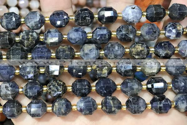 CIL130 15 inches 9*10mm faceted iolite beads wholesale