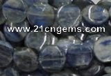 CKC02 16 inches 25mm flat round natural kyanite beads wholesale