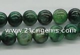 CKC102 16 inches 10mm round natural green kyanite beads