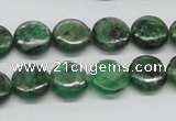 CKC108 16 inches 12mm flat round natural green kyanite beads wholesale