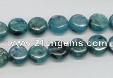 CKC21 16 inches 10mm flat round natural kyanite beads wholesale