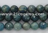 CKC223 15.5 inches 10mm faceted round natural kyanite beads wholesale