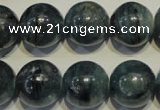 CKC456 15.5 inches 16mm round natural kyanite beads wholesale