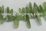 CKC71 15.5 inches 4*10mm – 6*35mm branch natural green kyanite beads