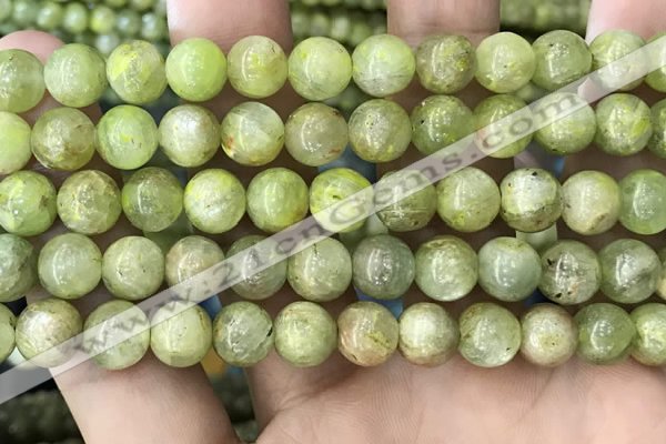 CKC768 15.5 inches 10mm round natural green kyanite beads