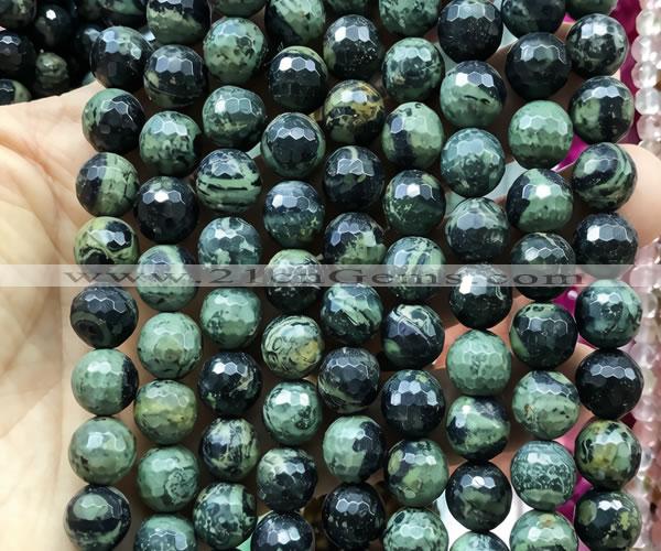 CKJ336 15 inches 10mm faceted round kambaba jasper beads wholesale