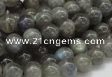 CLB03 16 inches 10mm round labradorite gemstone beads wholesale