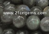 CLB06 16 inches 16mm round labradorite gemstone beads wholesale