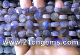 CLB1022 15.5 inches 10mm faceted coin labradorite gemstone beads