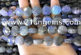 CLB1023 15.5 inches 12mm faceted coin labradorite gemstone beads