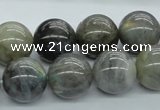 CLB103 15.5 inches 16mm round labradorite gemstone beads wholesale