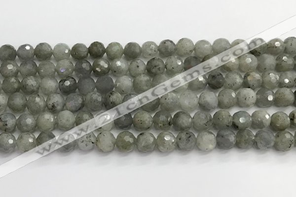 CLB1076 15.5 inches 8mm faceted round labradorite beads