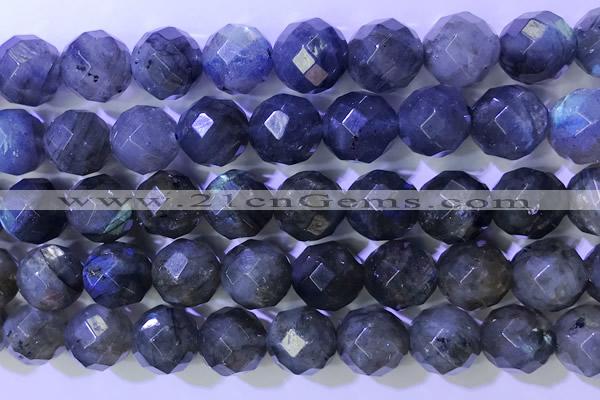 CLB1097 15.5 inches 10mm faceted round labradorite gemstone beads