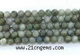 CLB1223 15.5 inches 10mm round labradorite gemstone beads