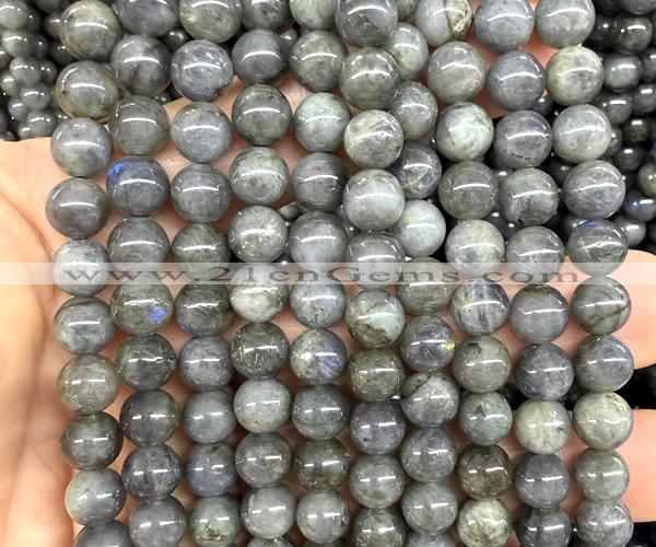 CLB1292 15 inches 8mm round labradorite beads wholesale