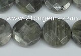 CLB193 15.5 inches 20mm faceted coin labradorite gemstone beads