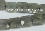 CLB201 15.5 inches 14*14mm faceted square labradorite beads