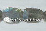 CLB206 15.5 inches 20*25mm faceted freeform labradorite beads